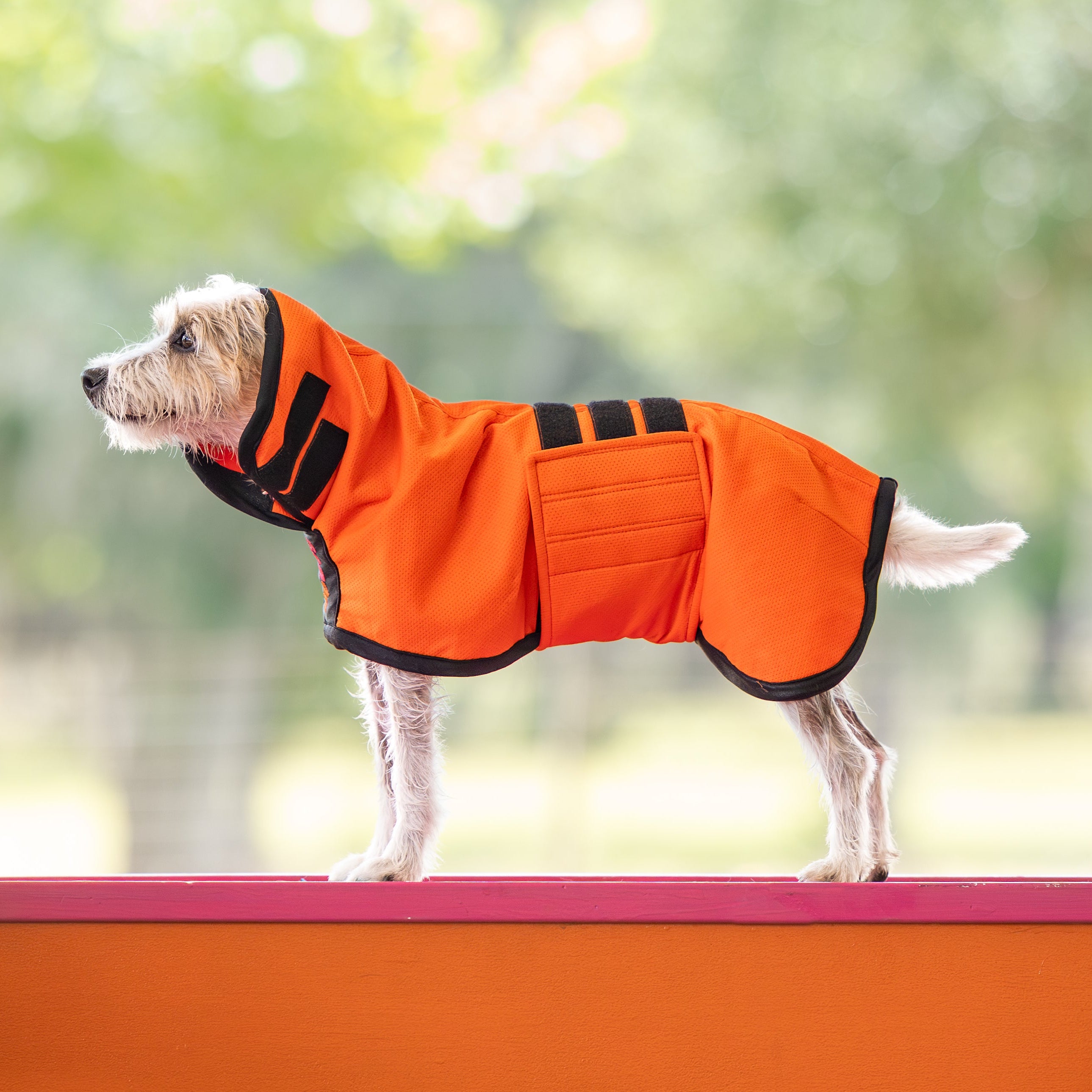 UpDog Cooling Coat