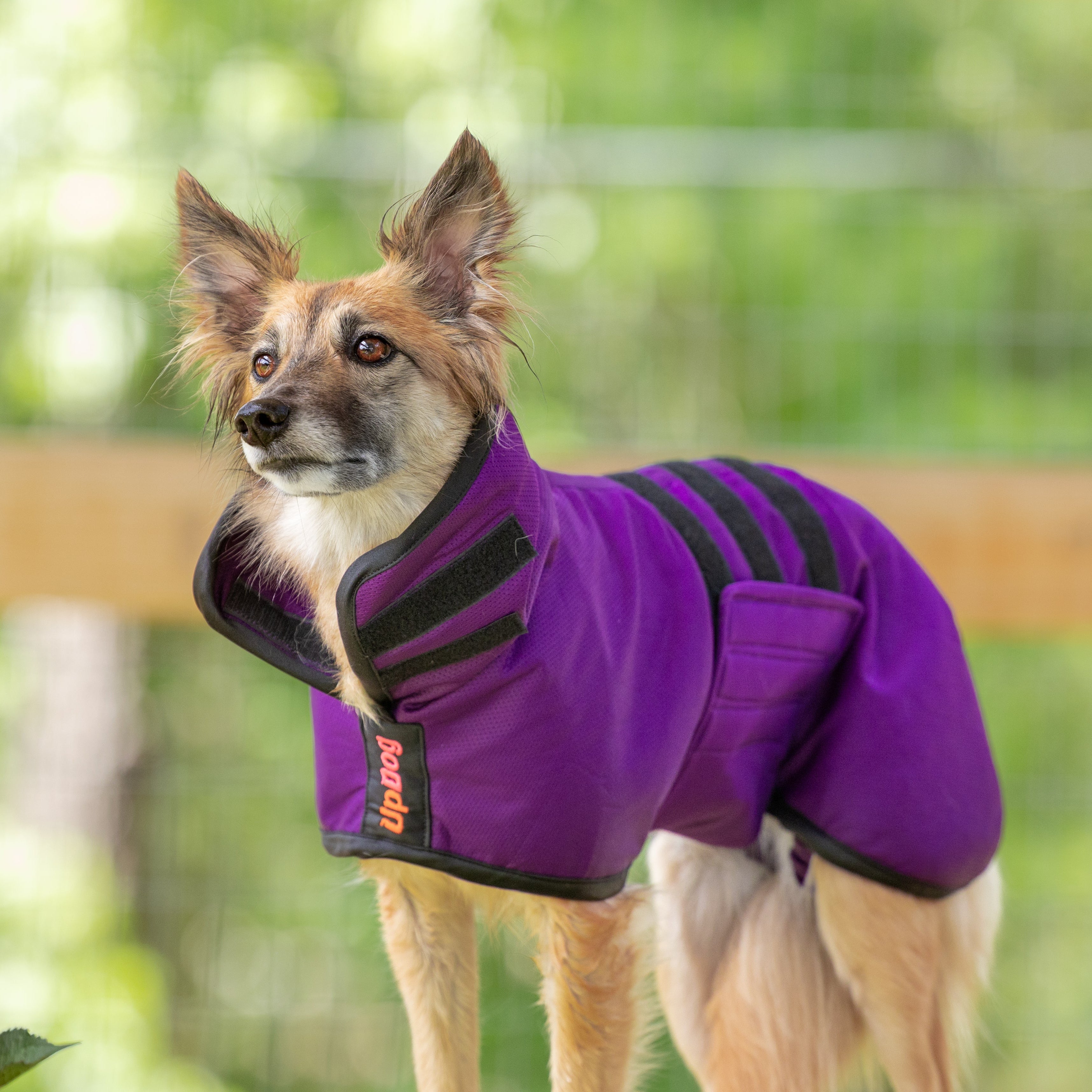 UpDog Cooling Coat