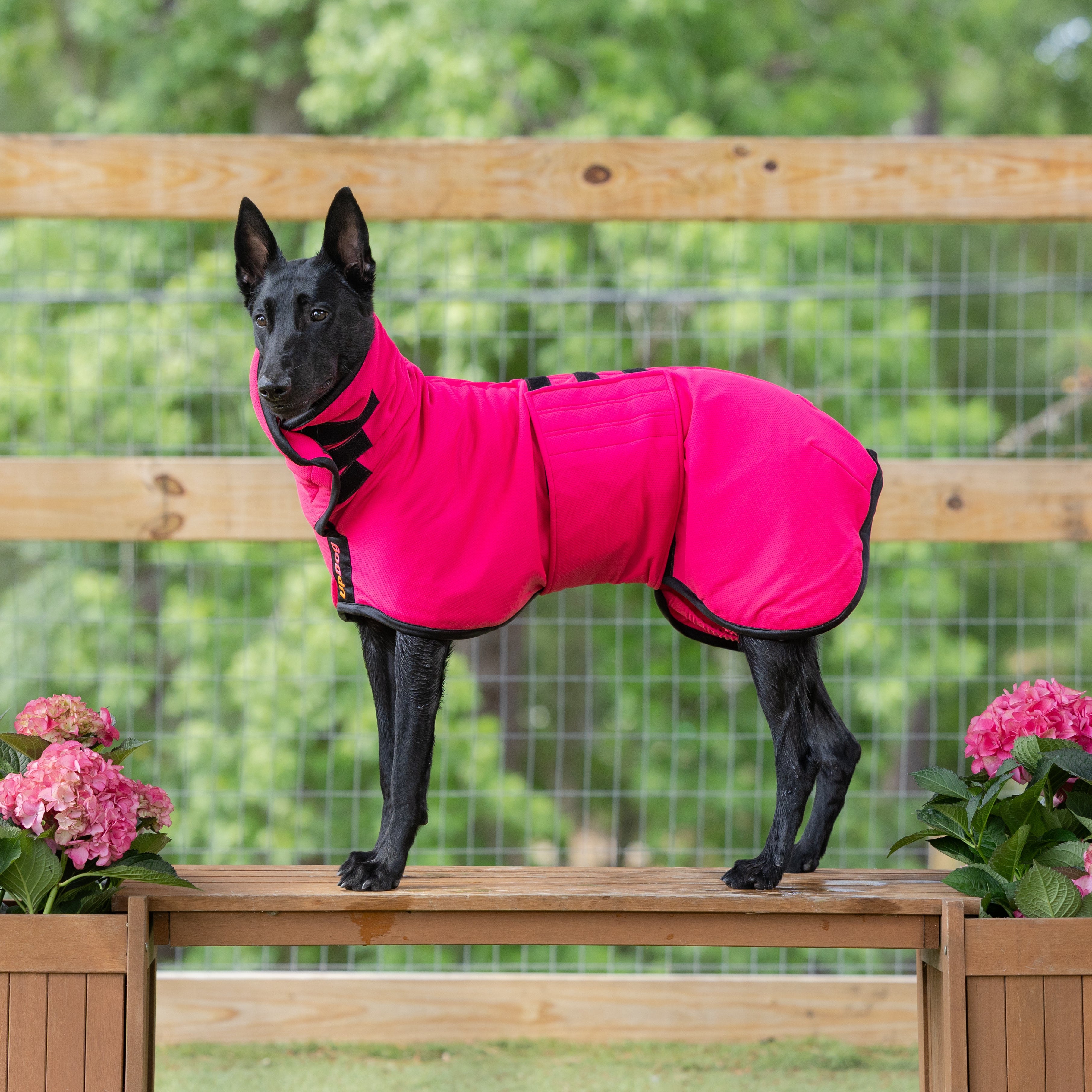 UpDog Cooling Coat