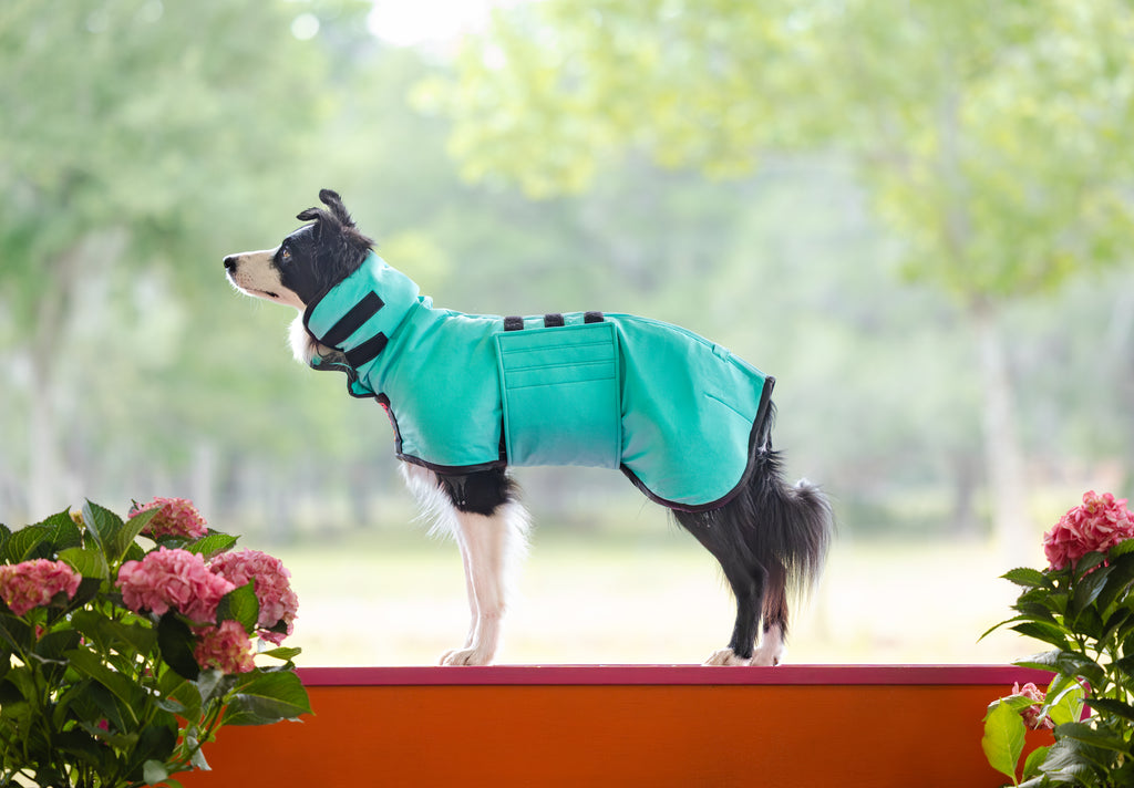 UpDog Cooling Coat