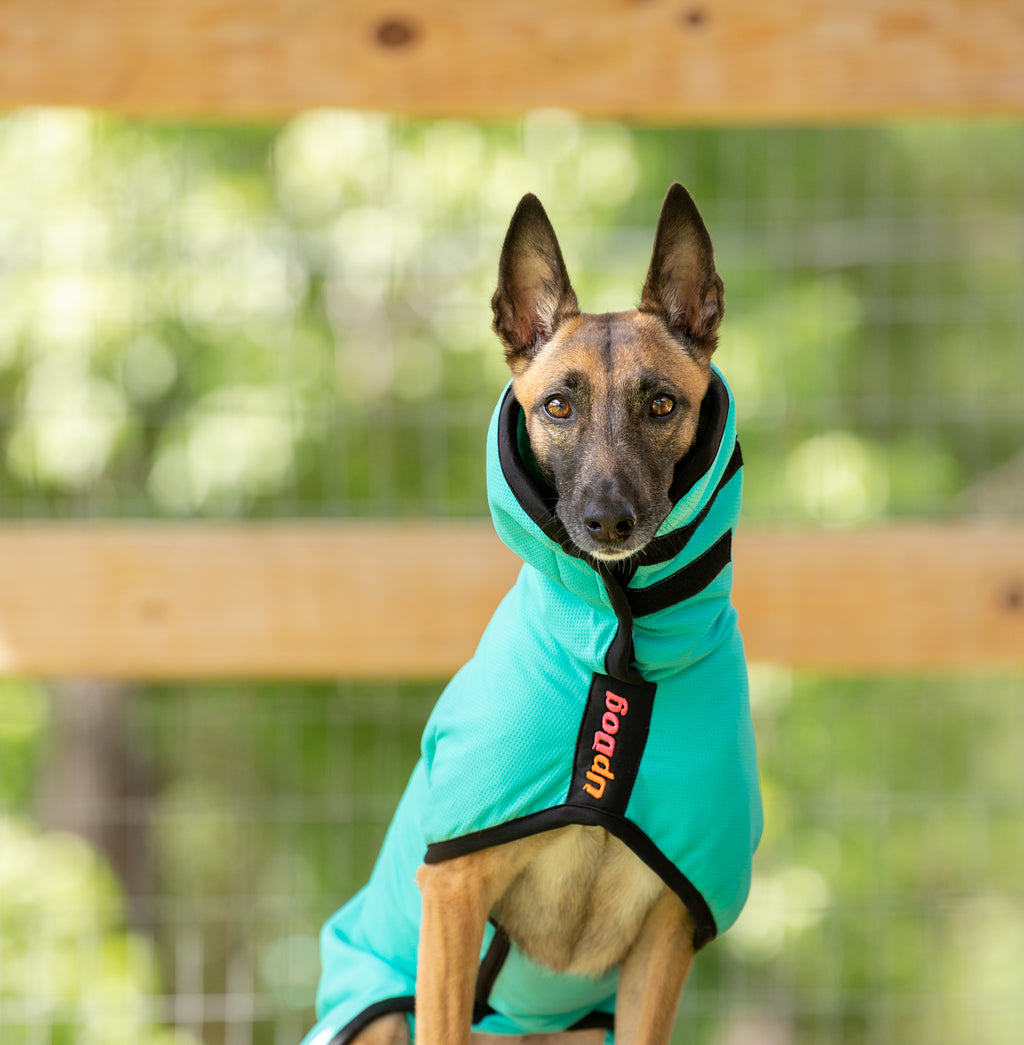 UpDog Cooling Coat