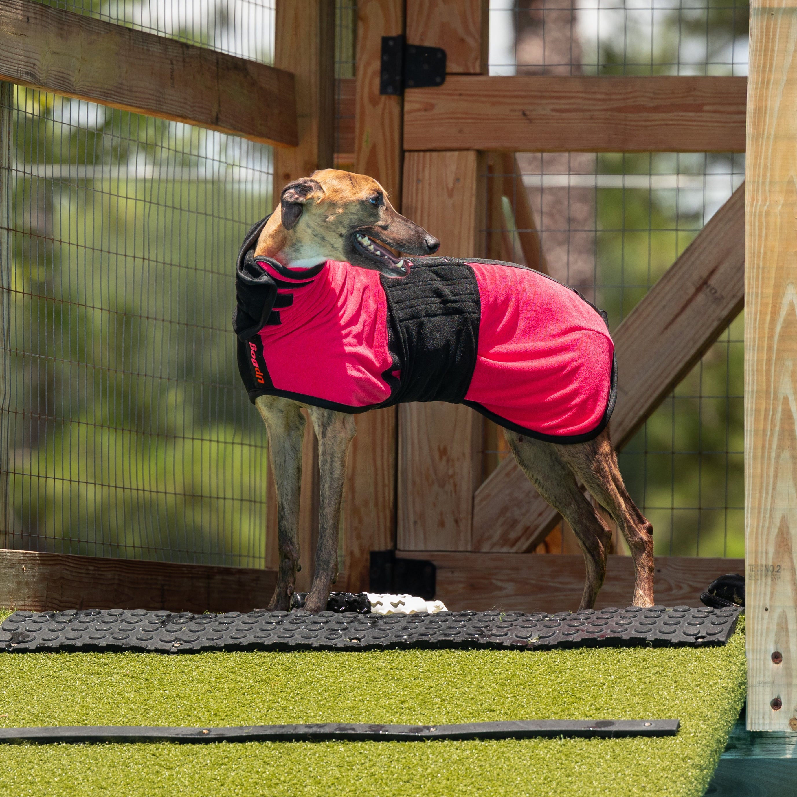 Pink/Black drying coat shown in size 55