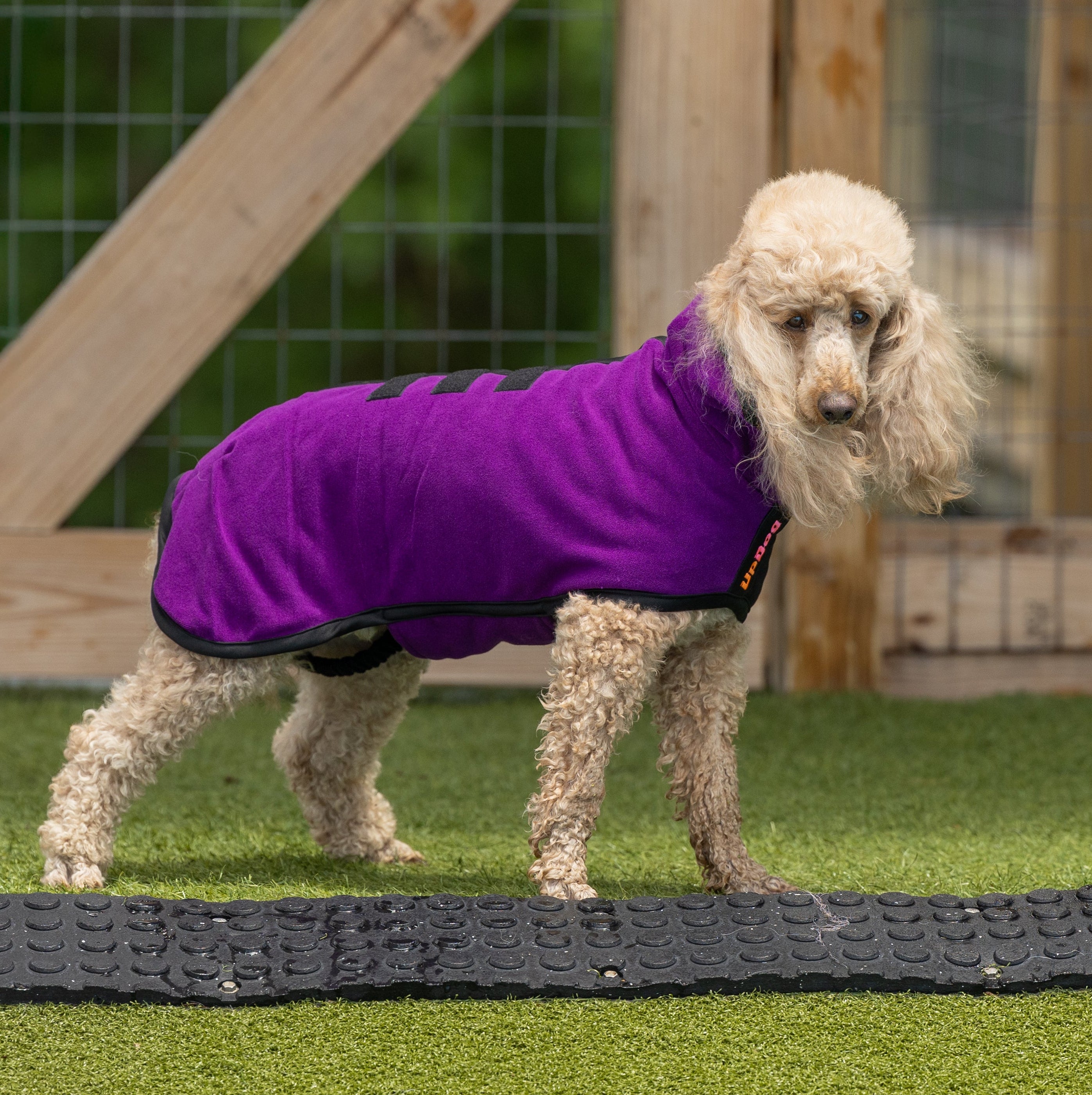 Purple drying coat shown in size 40